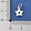 925 Sterling Silver Charms STER-S009-07C-S-3