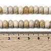 Natural Fossil Coral Beads Strands G-A280-A08-02-5