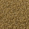 MIYUKI Delica Beads SEED-X0054-DB0771-3