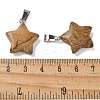 Natural Picture Jasper Pendants G-B127-12P-06-3