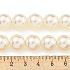 Glass Pearl Beads Strands HY-G002-01F-02-5