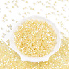Glass Seed Beads SEED-N007-01B-2