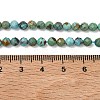Natural HuBei Turquoise Beads Strands G-P629-A04-03-6