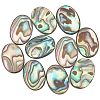 10Pcs Natural Paua Shell Cabochons FIND-BC0005-54-1