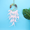Tree of Life Wrapped Natural & Synthetic Mixed Stone Chips Woven Web/Net with Feather Decorations PW-WG91800-06-1