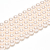 Baking Paint Pearlized Glass Pearl Bead Strands HY-N002-5mm-A11-3