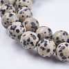 Natural Dalmatian Jasper Stone Bead Strands G-R193-14-10mm-3