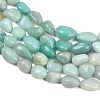 Natural Amazonite Nuggets Beads Strands X-G-J335-31A-4