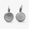 Tarnish Resistant 304 Stainless Steel Leverback Earring Findings LS-STAS-L253-005D-P-2