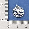 925 Sterling Silver Charms STER-S009-01C-S-3