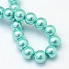 Baking Paint Pearlized Glass Pearl Round Bead Strands HY-Q003-10mm-65-4