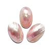 Natural Shell Cabochons SHEL-K008-07B-1