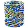 Segment Dyed Raffia Paper Cords for DIY Craft OCOR-WH20020-27B-7