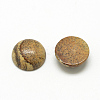 Natural Picture Jasper Cabochons X-G-R416-12mm-42-2