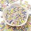 Baking Paint Glass Seed Beads SEED-C004-04E-2