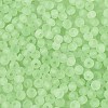 FGB Frosted Transparent Glass Seed Beads SEED-N013-04A-08-3