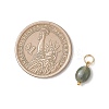 Natural Indian Agate Oval Charms PALLOY-JF04942-3