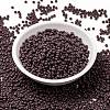 MIYUKI Round Rocailles Beads SEED-X0055-RR0497-2
