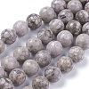 Natural Maifanite/Maifan Stone Beads Strands G-F353-4mm-3