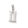 304 Stainless Steel Micro Pave Cubic Zirconia Pendants STAS-H228-02P-02-1