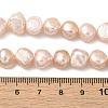 Natural Cultured Freshwater Pearl Beads Strands PEAR-A006-10F-5