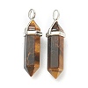Natural Tiger Eye Pointed Pendants G-M378-01P-A26-2