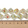 Frosted Handmade Lampwork Beads Strands LAMP-A010-01C-4