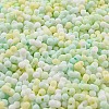 Macaron Color Opaque Frosted Glass Seed Beads SEED-K009-12B-04-3