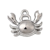Marine Organism Theme 304 Stainless Steel Charms STAS-Z179-40P-07B-1