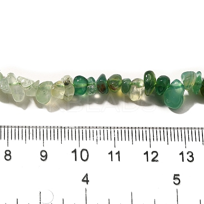 Natural Prehnite & Chrysoprase & Green Aventurine Beads Strands G-L610-A19-01-1