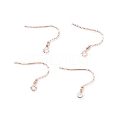 304 Stainless Steel Earring Hooks STAS-P221-04RG-1