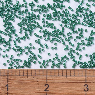 MIYUKI Delica Beads SEED-J020-DB0656-1