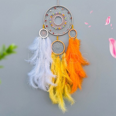 Woven Web/Net with Feather Decorations PW-WG21777-04-1
