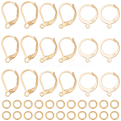 30Pcs 3 Styles 304 Stainless Steel Leverback Earring Findings STAS-BBC0009-24-1