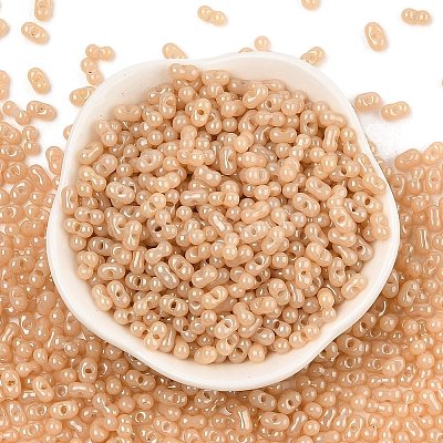 Baking Paint Glass Seed Beads SEED-L011-09A-15-1