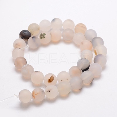 Frosted Natural Dendritic Agate Round Beads Strands G-E322D-6mm-1