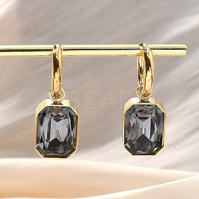 Ion Plating(IP) 304 Stainless Steel Hoop Earring EJEW-C017-06G-02-1