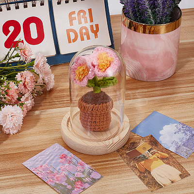 1 Set Glass Cloche Bell Jar Terrarium with 1Pc Handmade Knitting Crochet Artificial Lily of the Valley Potted DJEW-WR0001-01B-1