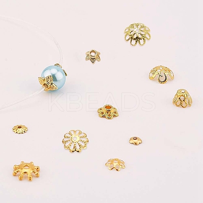 Iron & Brass & Alloy Bead Caps IFIN-SC0001-10-1