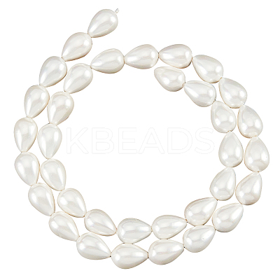 1 Strands Natural Shell Beads Strands BSHE-NB0001-25-1
