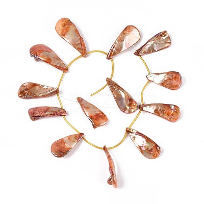 AB Color Plated Dyed Natural Freshwater Shell Beads Strands SHEL-T020-55E-1