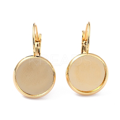 304 Stainless Steel Leverback Earring Settings X-STAS-F191-03G-14mm-1