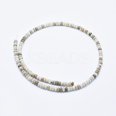 Natural Silver Leaf Jasper Beads Strands G-E444-36B-1