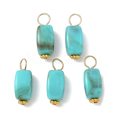 Opaque Acrylic Pendants PALLOY-JF04023-S-1