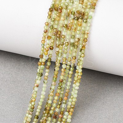 Natural Green Garnet Beads Strands G-A235-A02-02A-1