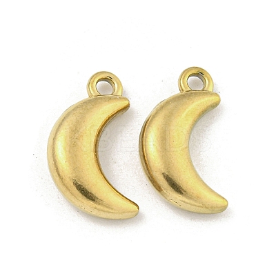 Ion Plating(IP) 304 Stainless Steel Charms STAS-I307-537G-1