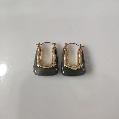 Zinc Alloy Resin Hoop Earrings FS-WG1C3F9-02-1