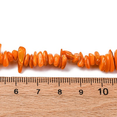 Natural Freshwater Shell Beads Strands BSHE-I016-01C-1