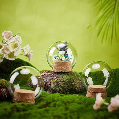 Glass Dome Cover FIND-WH0152-555-1