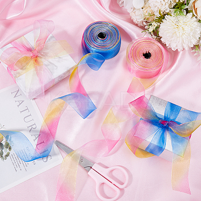 2 Skeins 2 Colors Rainbow Color Polyester Organza Ribbon SRIB-CY0001-04-1